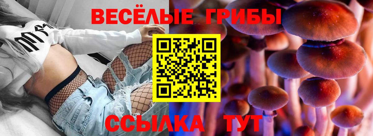 Меф Лысьва